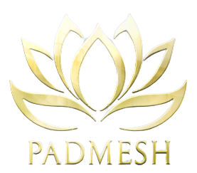 Padmesh Industries Logo